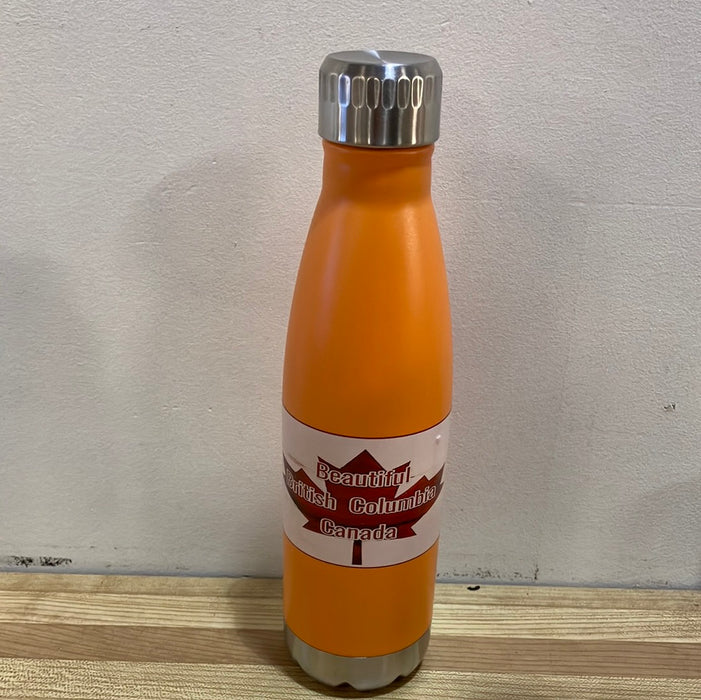 Insulated Water Bottle