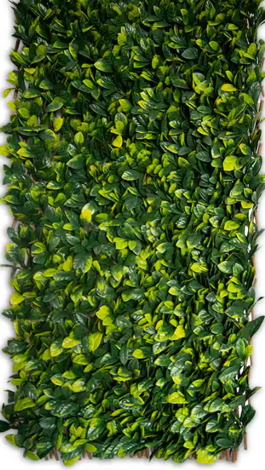 51” Expandable Lemon Leaf Lattice Screen