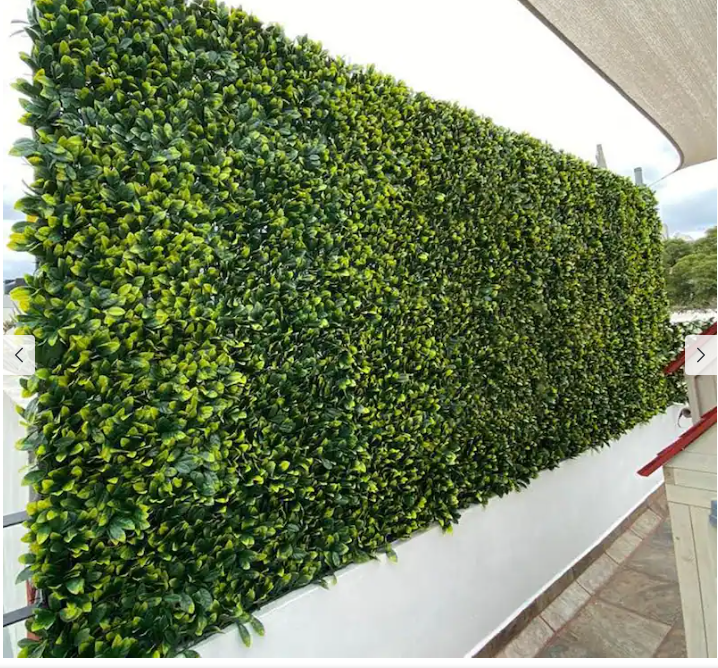 51” Expandable Lemon Leaf Lattice Screen